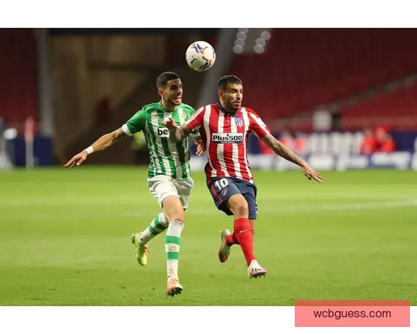 体育竞猜投注策略全面解析助你精准预测赛事结果提升盈利技巧