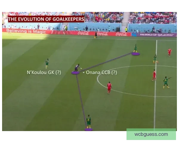 世界杯竞猜比分玩法大揭秘全方位分析如何准确预测比赛结果提升赢率